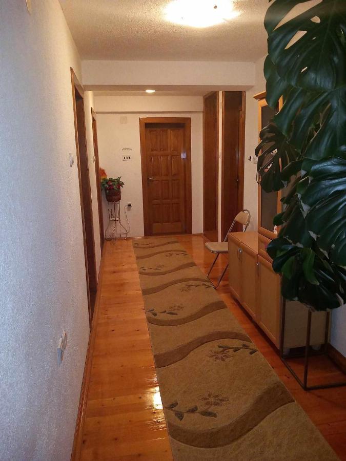 Apartment Little Village Плав Екстер'єр фото